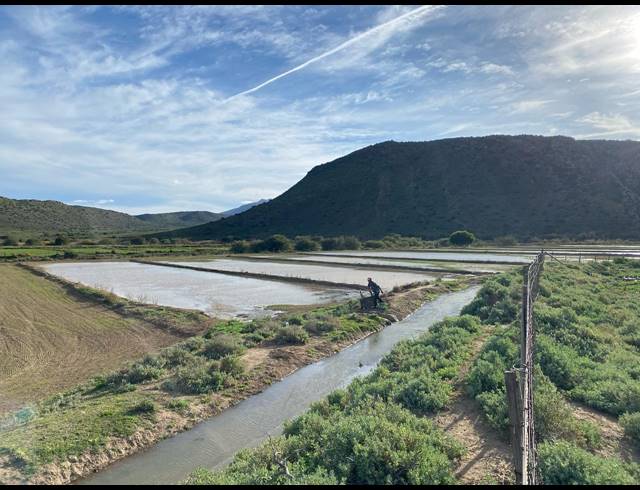 820HA FARM FOR SALE IN LADISMITH RURAL